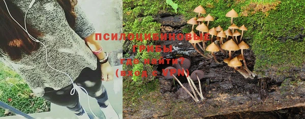 герыч Надым